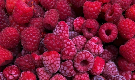 Fresh raspberries